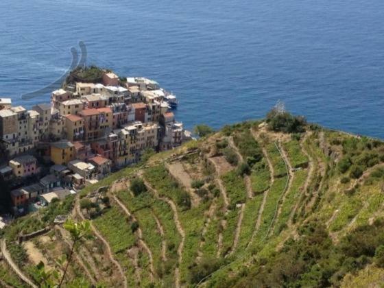Appartamento Vacanze "Borgo Cinque Terre" Volastra Manarola Buitenkant foto
