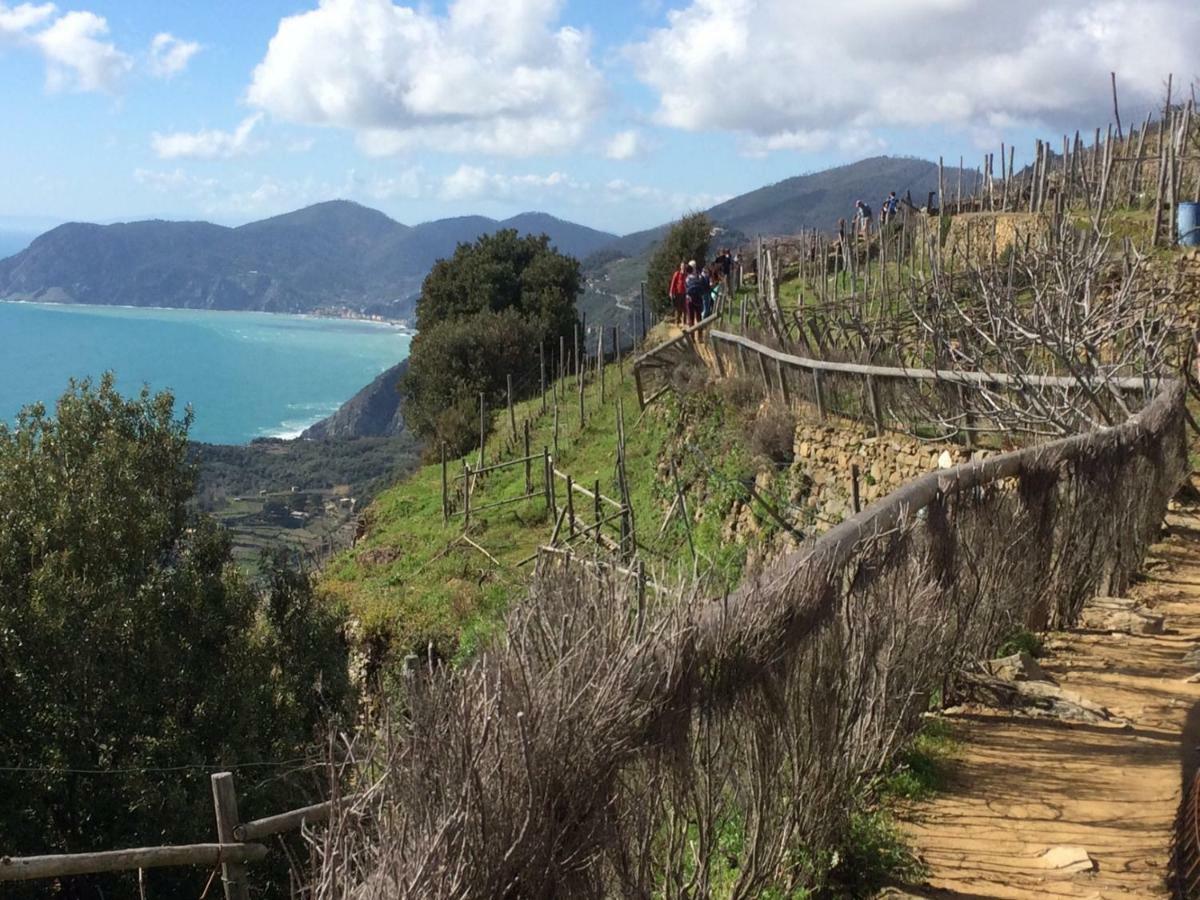 Appartamento Vacanze "Borgo Cinque Terre" Volastra Manarola Buitenkant foto