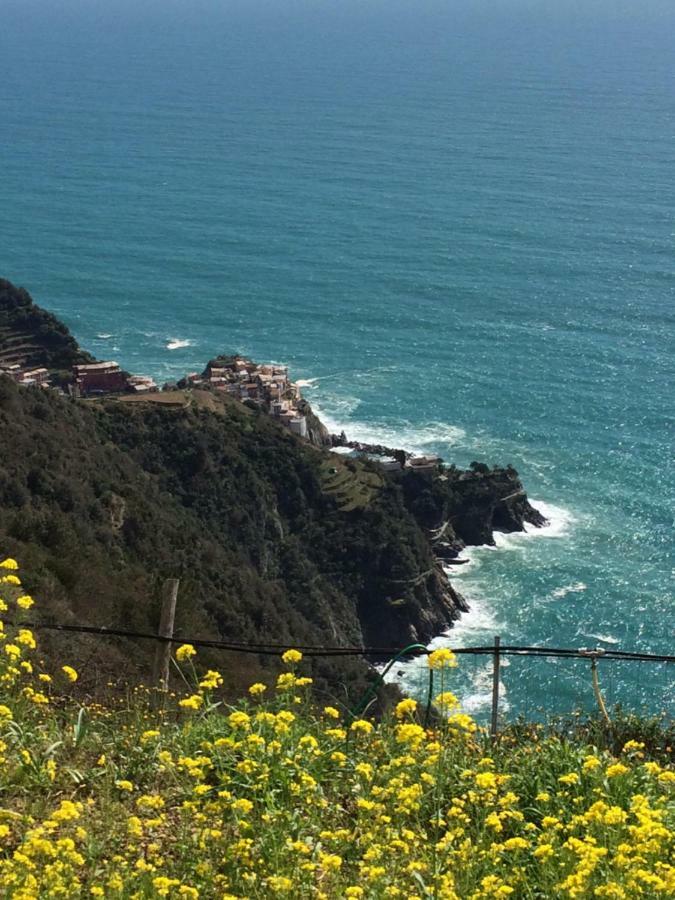 Appartamento Vacanze "Borgo Cinque Terre" Volastra Manarola Buitenkant foto